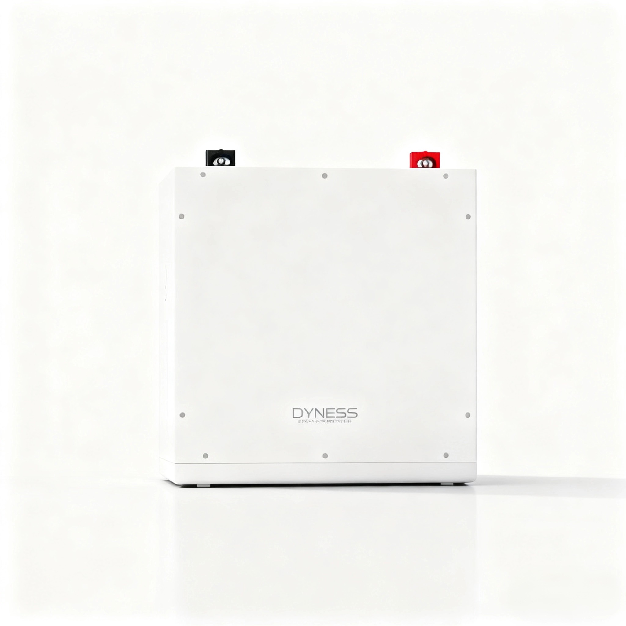 Dyness DL5.0C 1C Lithium Ion B - Lithium Battery 100Ah ulasan dan harga