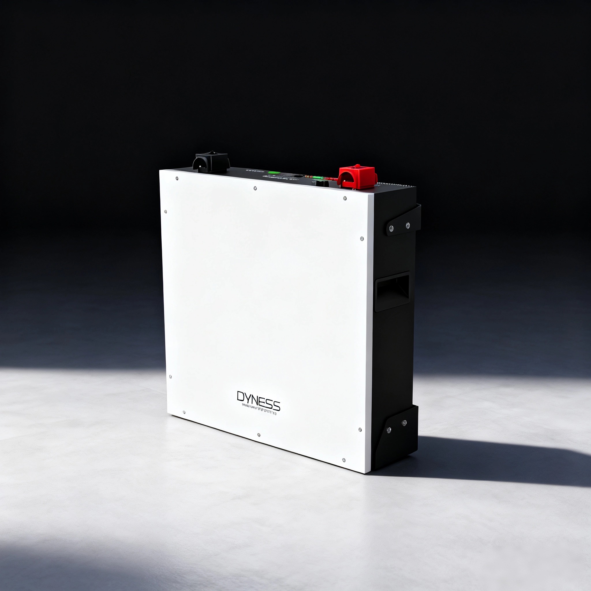 Dyness DL5.0C 1C Lithium Ion B - Lithium Battery 100Ah ulasan dan harga