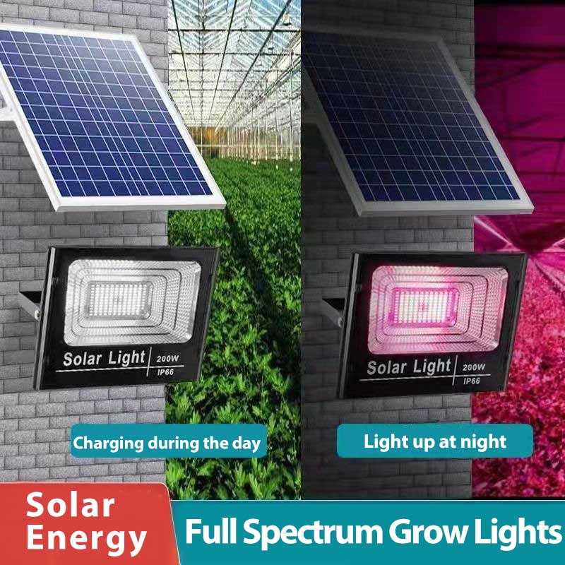 Solar Powered LED Plant Grow L - Renewable Energy Project ulasan dan harga