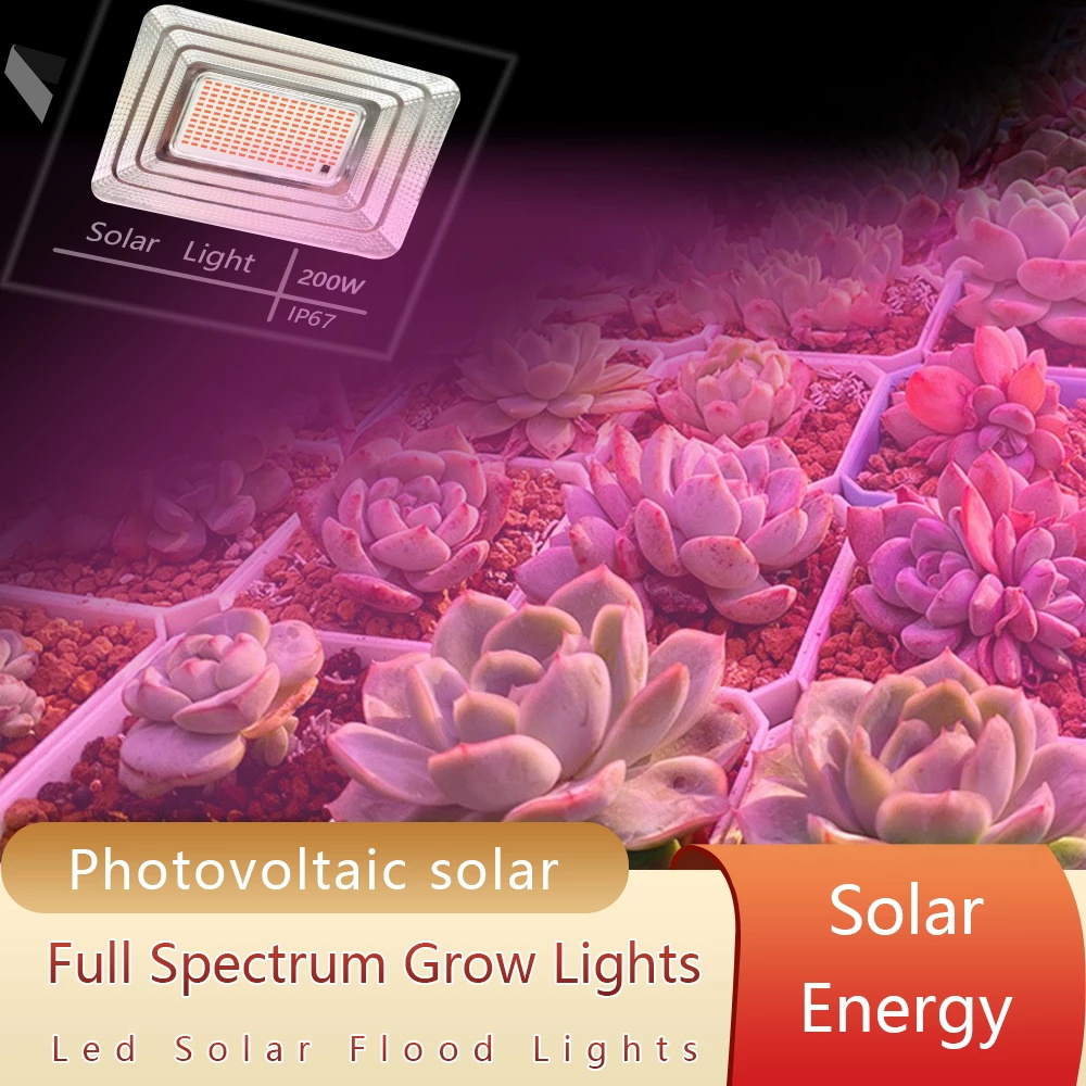 Solar Powered LED Plant Grow L - Renewable Energy Project ulasan dan harga
