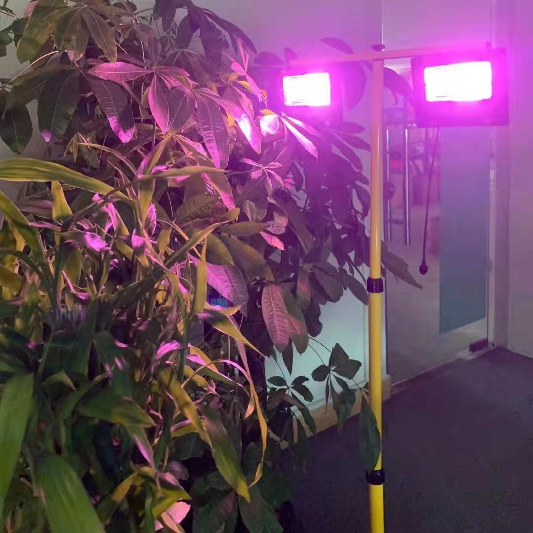 35/60W Solar LED Grow Light Fu - Renewable Energy Project ulasan dan harga